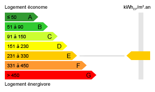 Diagnostic de performance énergétique : E